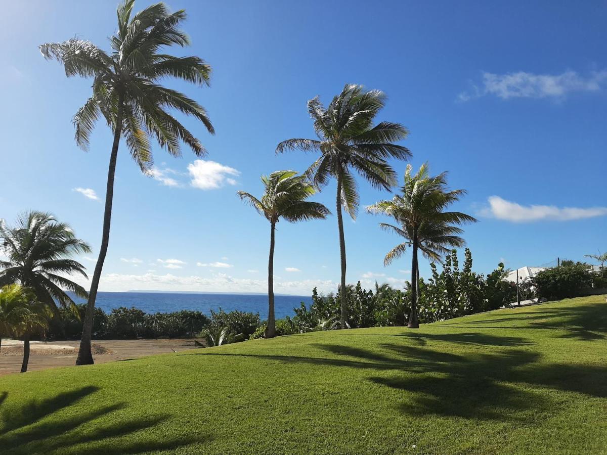 Studio Kaz Ananas Au Manganao Saint-Francois (Grande-Terre) Exterior foto
